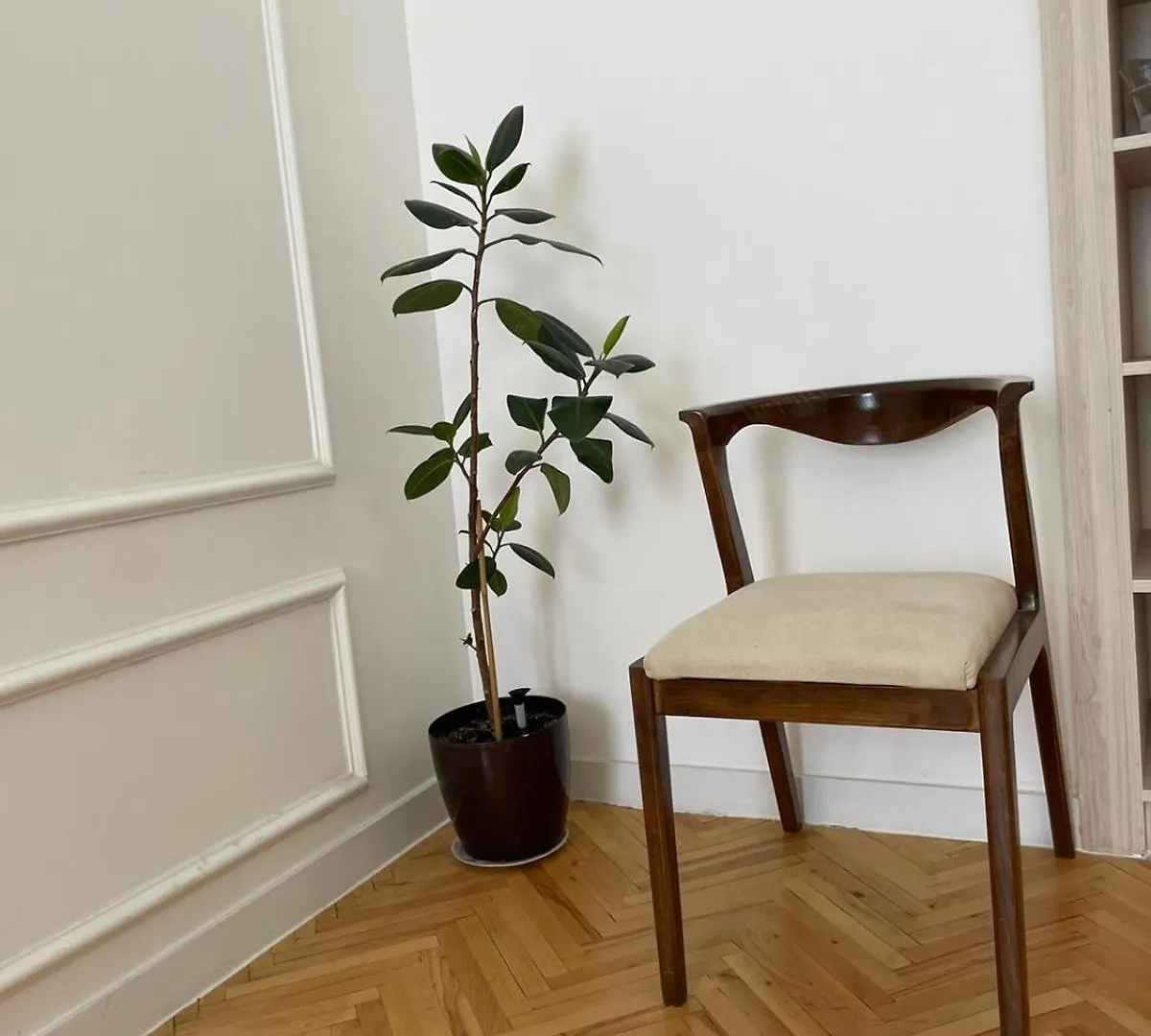 Lejlighed Art Hotel Tabidze Tbilisi