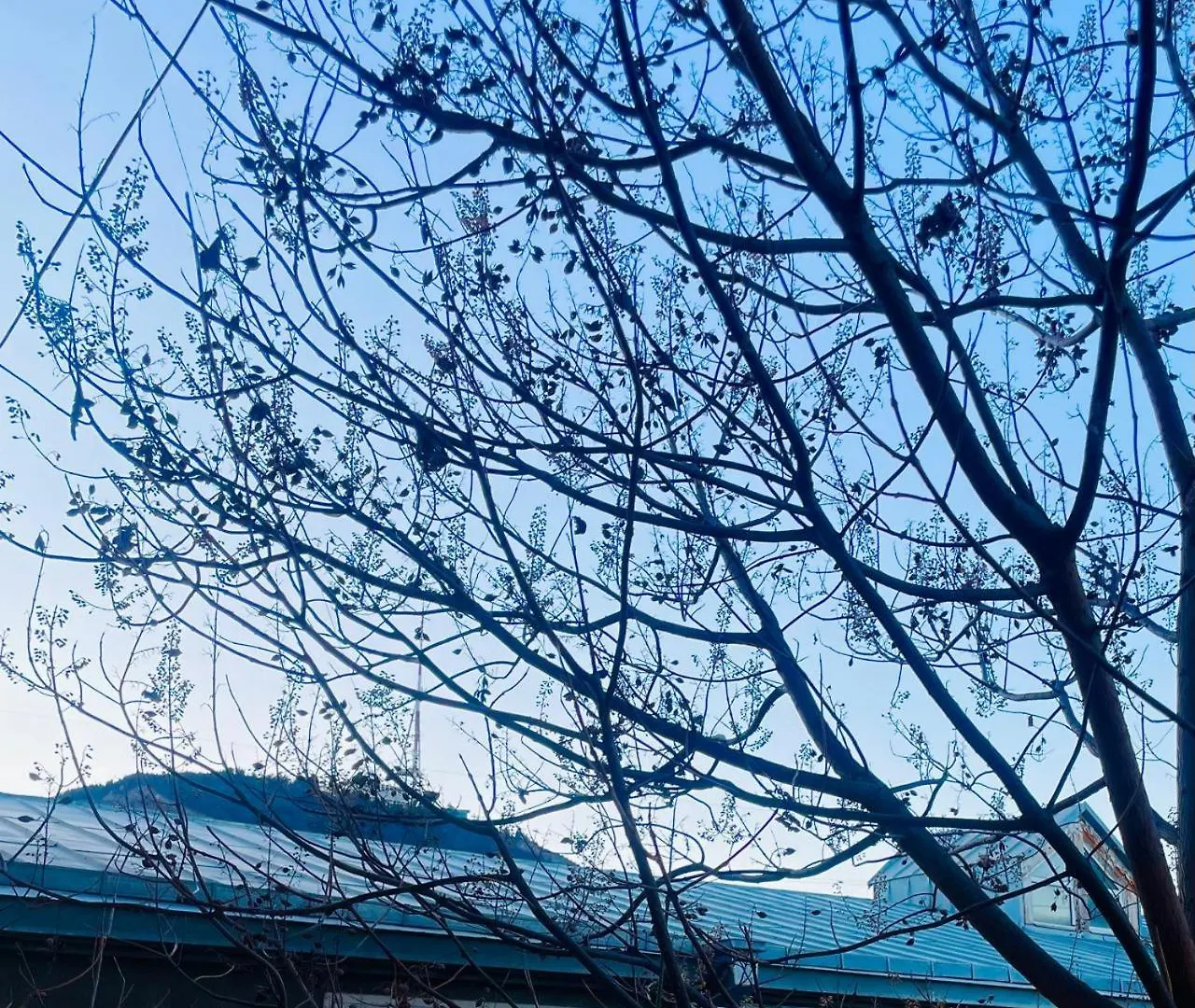 Art Hotel Tabidze Tbilisi